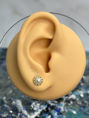 “Classic Pearl” Earrings - 14k Gold