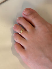 14k Gold “Coastal Dolphin” Ring