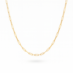 “Everyday Paperclip” Chain - 14k Gold
