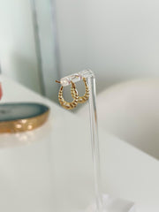 “Mini Shell” Earrings - 14k Gold