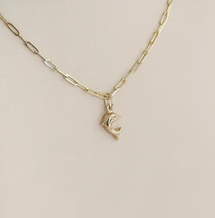 “Playful Dolphin” Pendant - 14k Gold