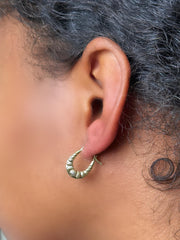 “Mini Shell” Earrings - 14k Gold