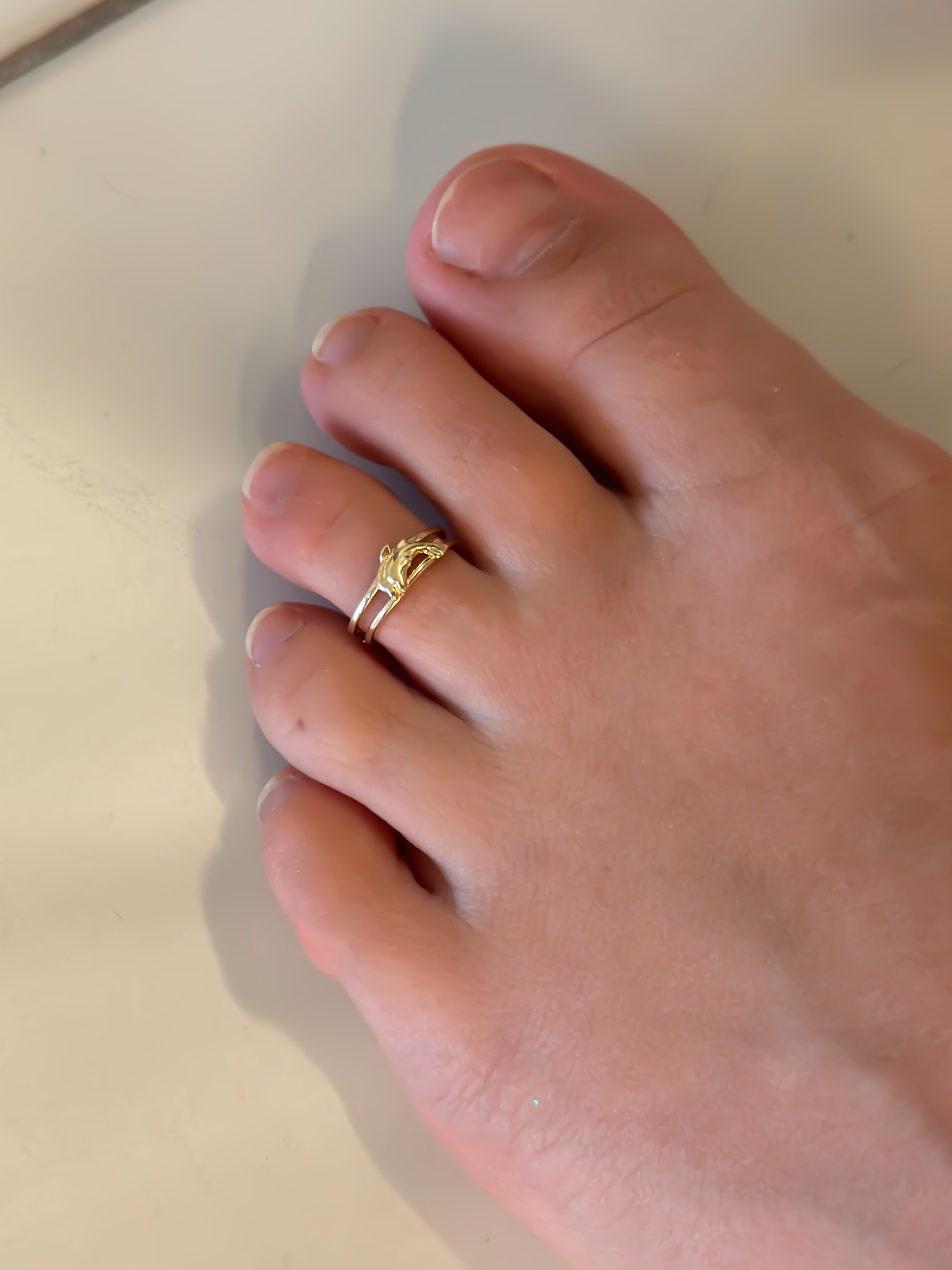 14k Gold “Coastal Dolphin” Ring