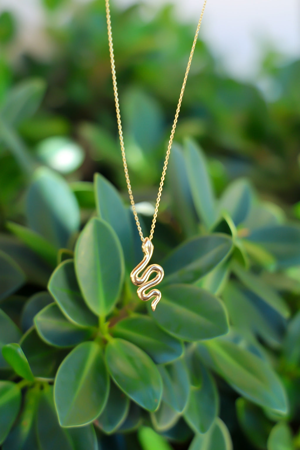 "Snake Coil" Necklace - 14k Yellow Gold