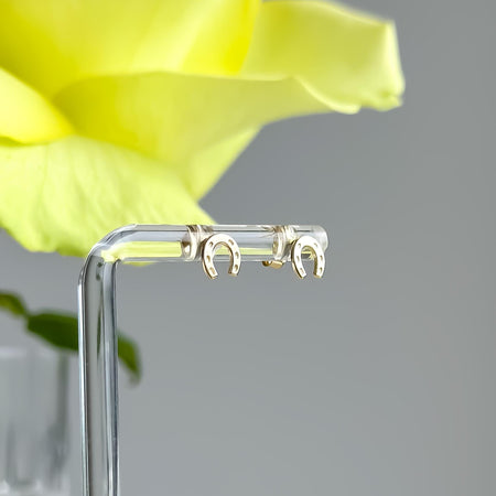 “Horseshoe Glow” Earrings - 14k Gold