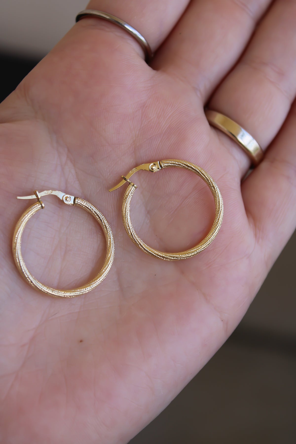 "Stipple Shine" Earrings - 14k Gold