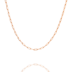 “Rose Paperclip” Chain - 14k Gold