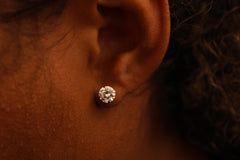 “Shimmer Studs” Earrings - 14k Gold